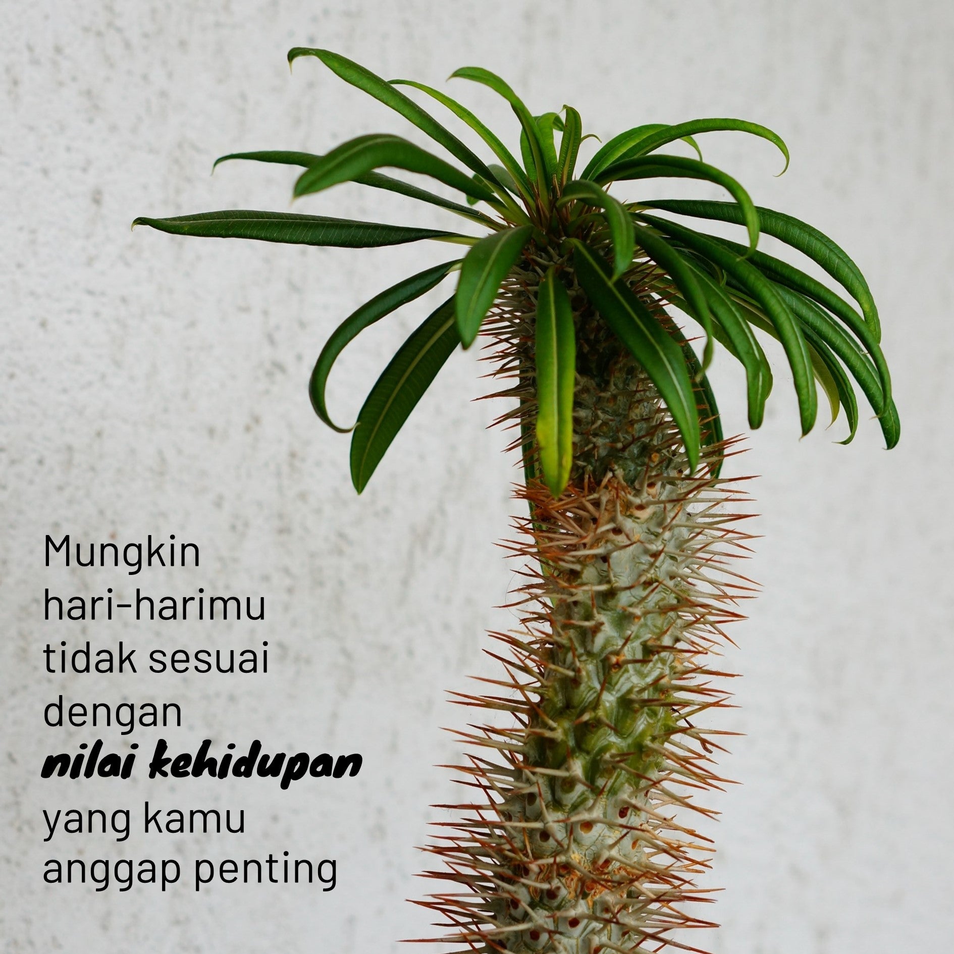 14 Hari Menulis Jurnal: Burnout