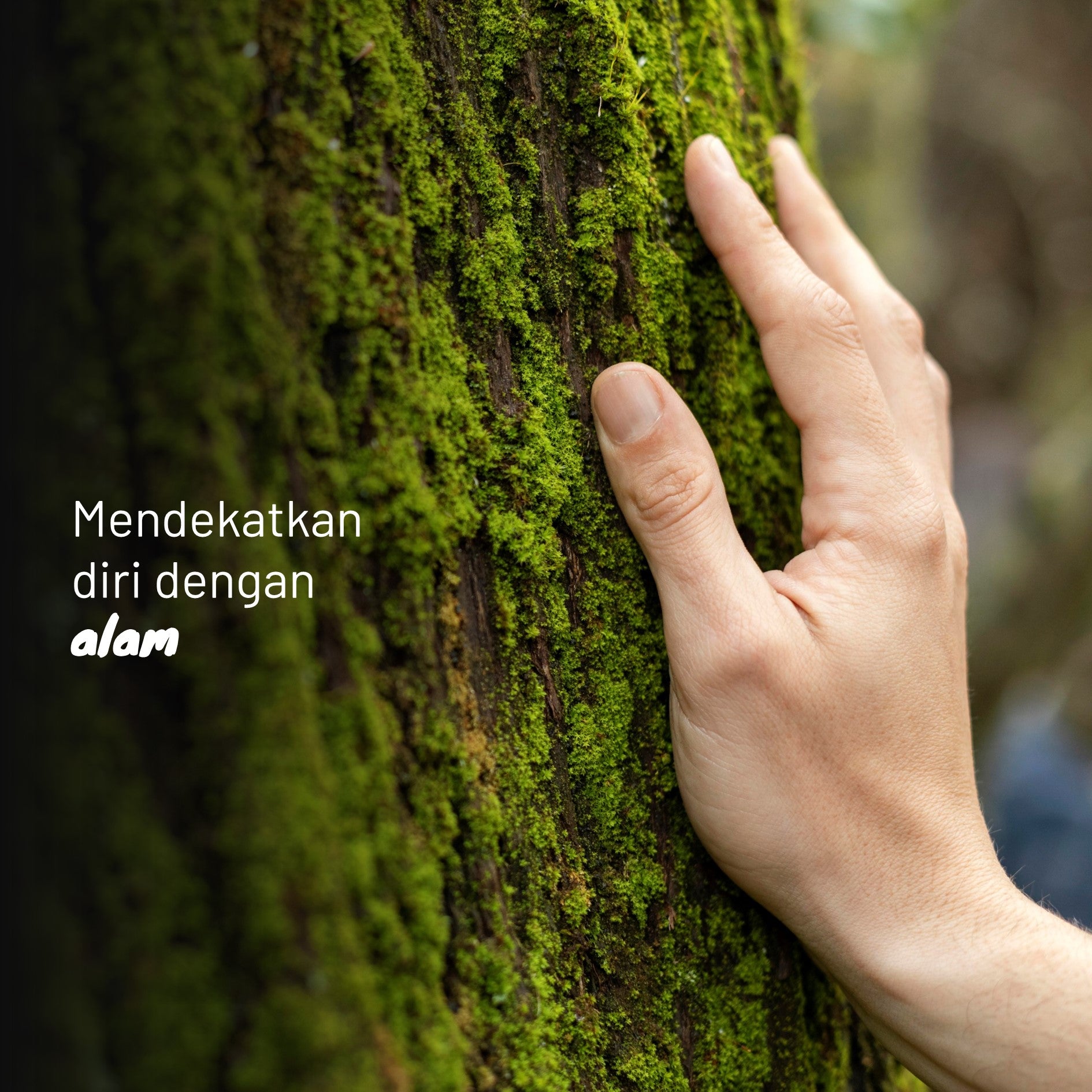 14 Hari Menulis Jurnal: Perjalanan Well-being-ku