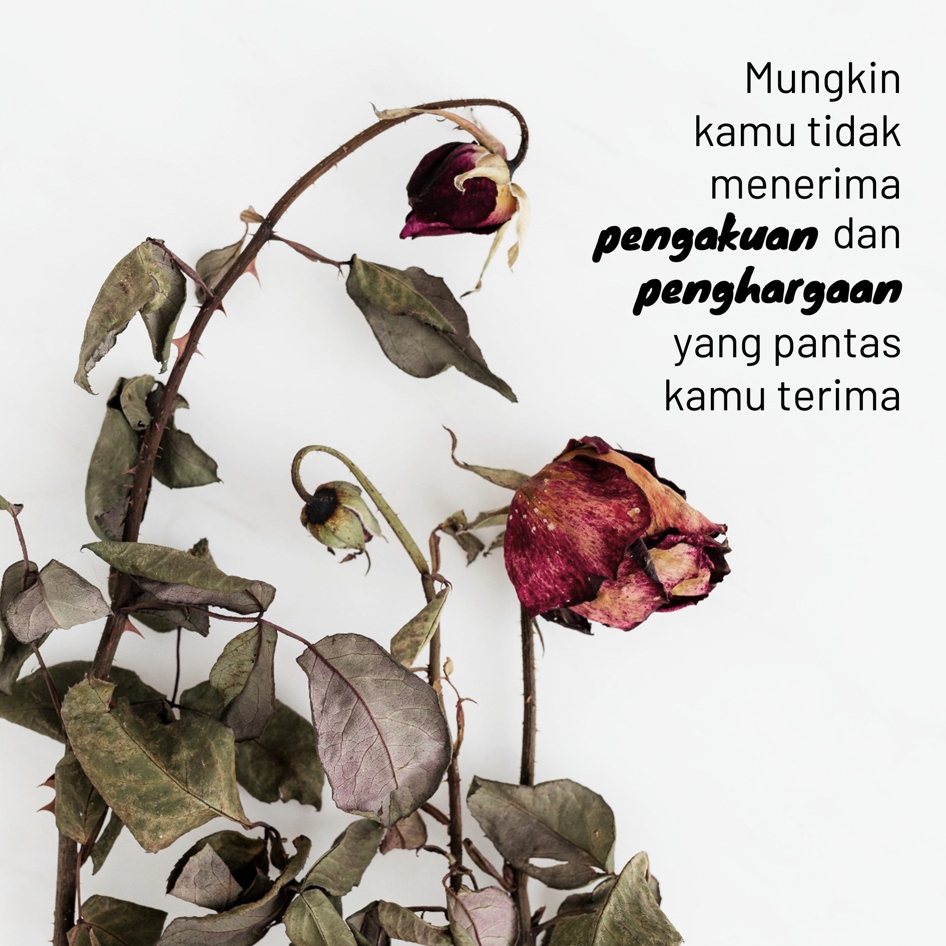 14 Hari Menulis Jurnal: Burnout